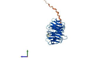 AlphaFold protein structure predicition of Human Recombinant SNRNP40 Protein, UniprotID Q96DI7