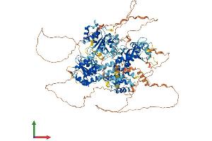Protein Structure (PS) image for RecQ Protein-Like 4 (RECQL4) (AA 1-1208) protein (His tag) (ABIN7555181)