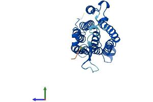 AlphaFold protein structure predicition of Human Recombinant ACER1 Protein, UniprotID Q8TDN7