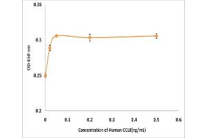 Activity Assay (AcA) image for Chemokine (C-C Motif) Ligand 8 (CCL8) (Active) protein (ABIN5509367) (CCL8 Protein)