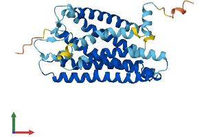 AlphaFold protein structure predicition of Human Recombinant OR2H1 Protein, UniprotID Q9GZK4