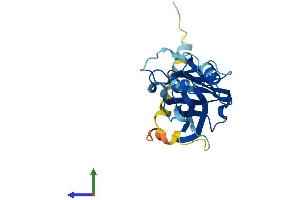 AlphaFold protein structure predicition of Human Recombinant ARHGDIG Protein, UniprotID Q99819 (ARHGDIG Protein (AA 1-225) (His tag))