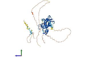 AlphaFold protein structure predicition of Human Recombinant TBX20 Protein, UniprotID Q9UMR3 (TBX20 Protein (AA 1-447) (His tag))