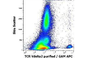 Flow cytometry surface staining pattern of human peripheral whole blood stained using anti-human TCR Vdelta2 (B6) purified antibody (concentration in sample 0,3 μg/mL, GAM APC). (TCR, V delta 2 antibody)