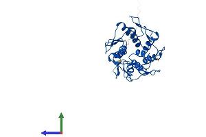 AlphaFold protein structure predicition of Human Recombinant ZNF501 Protein, UniprotID Q96CX3