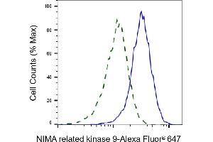 Validation of NIMA related kinase 9 knockdown using flow cytometry.