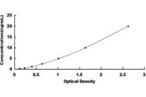 Typical standard curve (Glucose Oxidase ELISA Kit)