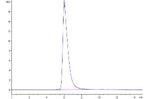 The purity of Biotinylated Human PD-1 is greater than 95 % as determined by SEC-HPLC. (PD-1 Protein (Fc-Avi Tag,Biotin))