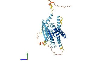 Protein Structure (PS) image for Septin 5 (SEPT5) (AA 1-369) protein (His tag) (ABIN7546076)