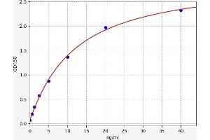 Typical standard curve (STAT5A ELISA Kit)