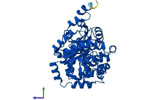 AlphaFold protein structure predicition of Human Recombinant ENOSF1 Protein, UniprotID Q7L5Y1 (ENOSF1 Protein (AA 1-443) (His tag))