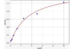 Adenosine A2a Receptor ELISA Kit