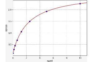 Typical standard curve (alpha-L-Fucosidase (Fuca) ELISA Kit)