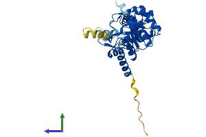 Protein Structure (PS) image for Glycerophosphodiester Phosphodiesterase Domain Containing 3 (GDPD3) (AA 1-330) protein (His tag) (ABIN7560389)