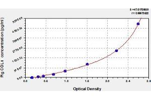 Typical Standard Curve (Collagen Type I ELISA Kit)