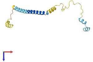 CPLX2 Protein (AA 1-134) (His tag)