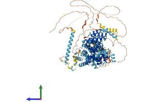 AlphaFold protein structure predicition of Human Recombinant NOM1 Protein, UniprotID Q5C9Z4 (NOM1 Protein (AA 1-860) (His tag))