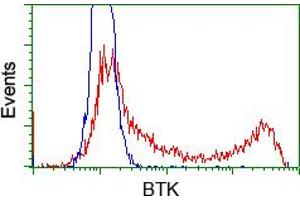 HEK293T cells transfected with either pCMV6-ENTRY BTK (RC211582) (Red) or empty vector control plasmid (Blue) were immunostained with anti-BTK mouse monoclonal (ABIN2452836), and then analyzed by flow cytometry. (BTK antibody)