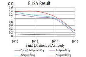 Fig. (TH antibody  (AA 44-208))