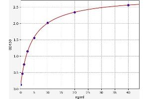 AOX1 ELISA Kit