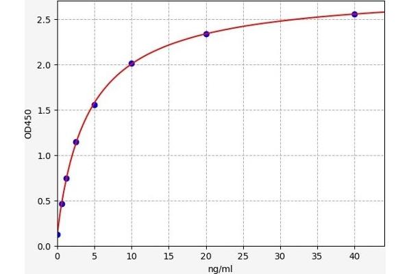 AOX1 ELISA Kit