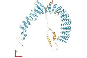 Protein Structure (PS) image for XPA Binding Protein 2 (XAB2) (AA 1-855) protein (His tag) (ABIN7561330)