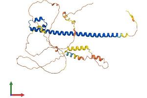 AlphaFold protein structure predicition of Human Recombinant MAF Protein, UniprotID O75444 (MAF Protein (AA 1-373) (His tag))