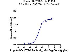 GUCY2C Protein (His-Avi Tag)
