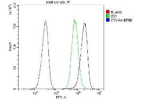 Flow Cytometry analysis of HepG2 cells using anti-CRYAA antibody (ABIN4886549).