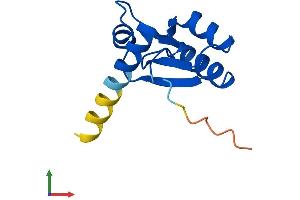 AlphaFold protein structure predicition of Human Recombinant RPL30 Protein, UniprotID P62888 (RPL30 Protein (AA 1-115) (His tag))