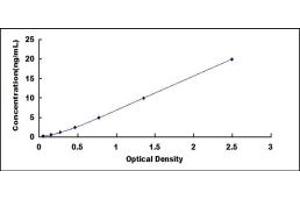 Apoptosis Inhibitor 5 ELISA Kit