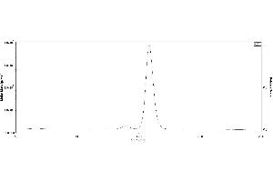 The purity of 2019-nCoV (COVID-19) S protein RBD, Fc Tag (MALS verified) ( ABIN6952455) was more than 90% in HP-SEC, and around 110-125 kDa verified by SEC-MALS.