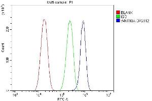 Flow Cytometry analysis of A431 cells using anti-WNT10A antibody (ABIN7601693).