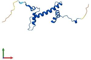 AlphaFold protein structure predicition of Mouse Recombinant H2az2 Protein, UniprotID Q3THW5 (H2AFV Protein (AA 1-128) (His tag))