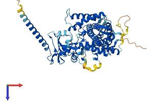 AlphaFold protein structure predicition of Human Recombinant CYP26C1 Protein, UniprotID Q6V0L0 (CYP26C1 Protein (AA 1-522) (His tag))