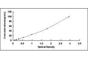 Dihydrolipoyl Transacetylase (DLAT) ELISA Kit