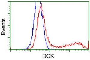 HEK293T cells transfected with either RC210767 overexpress plasmid (Red) or empty vector control plasmid (Blue) were immunostained by anti-DCK antibody (ABIN2454398), and then analyzed by flow cytometry. (DCK antibody)