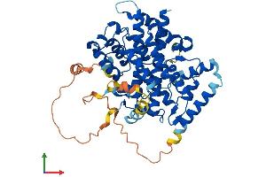 Protein Structure (PS) image for Sestrin 2 (SESN2) (AA 1-480) protein (His tag) (ABIN7545997)