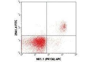 Flow Cytometry (FACS) image for anti-Natural Cytotoxicity Triggering Receptor 1 (NCR1) antibody (FITC) (ABIN2661679) (NCR1 antibody  (FITC))