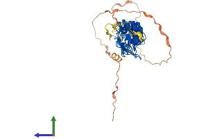 AlphaFold protein structure predicition of Mouse Recombinant Nfkbie Protein, UniprotID O54910