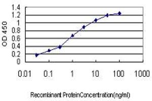 Detection limit for recombinant GST tagged TCFL5 is approximately 0. (TCFL5 antibody  (AA 418-500))