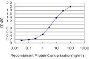 Detection limit for recombinant GST tagged MAPK9 is approximately 0. (JNK2 antibody  (AA 321-424))