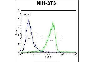 Flow cytometric analysis of NIH-3T3 cells (right histogram) compared to a negative control cell (left histogram).