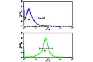 Flow cytometric analysis of MCF-7 cells using MMP14 polyclonal antibody (bottom histogram) compared to a negative control cell (top histogram). (MMP14 antibody  (N-Term))