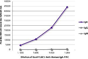 FLISA plate was coated with purified human IgA, IgG, and IgM. (Goat anti-Human IgA Antibody (FITC))
