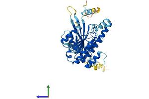 Protein Structure (PS) image for Dynein, Cytoplasmic 2, Light Intermediate Chain 1 (DYNC2LI1) (AA 1-351) protein (His tag) (ABIN7559444)