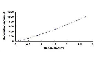 Complement Factor H ELISA Kit