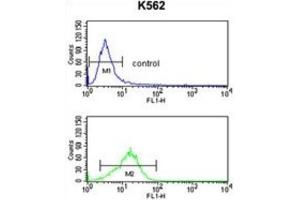 Flow Cytometry (FACS) image for anti-Neutrophil Cytosolic Factor 4, 40kDa (NCF4) antibody (ABIN3003340) (NCF4 antibody)
