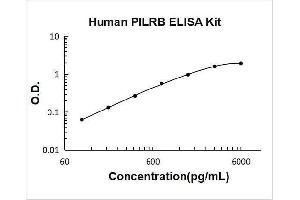 Typical Standard Curve
