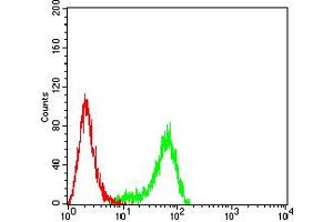 Flow cytometric analysis of Hela cells using PLXNA1 mouse mAb (green) and negative control (red). (Plexin A1 antibody  (AA 1100-1200))